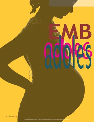 Embarazo Revista Corregido