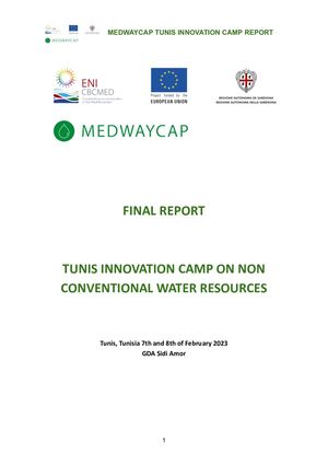 Tunis Medwaycap Ic Final Report