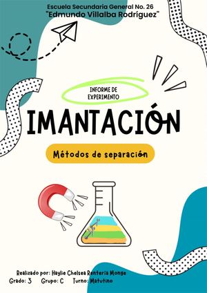 Informe De Experimento IMANTACIÓN