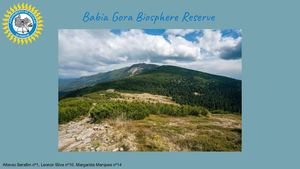 Babia Gora (1)