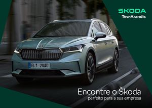 Skoda Viaturas Fiscais