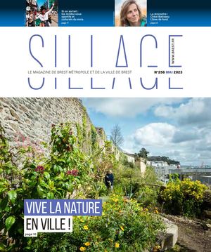 Sillage 256