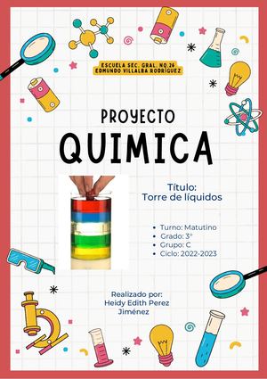 Proyecto De Español