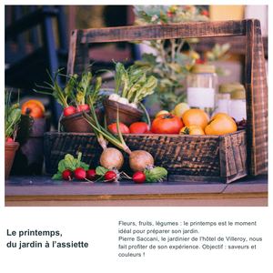 Le printemps, du Jardin à l'assiette