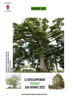 Rapport Développement Durable 2022 Ville des Abymes