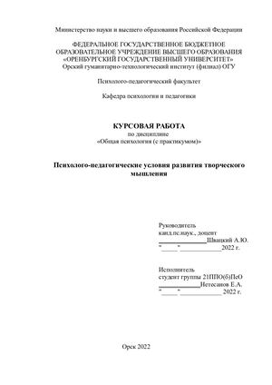 Курсовая работа (Нетесанов)