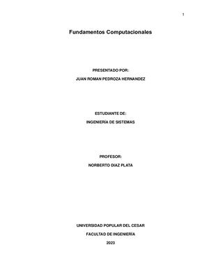 Descripción Funcional De Un Sistema Computacional