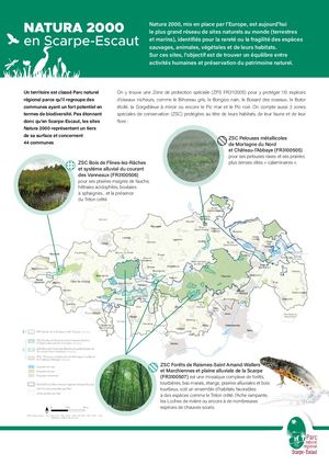 Natura 2000 dans le Parc naturel régional Scarpe-Escaut