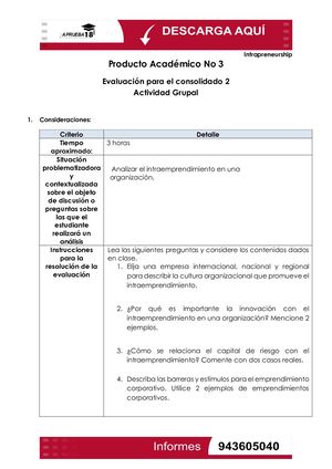 Intrapreneurship PA3