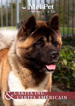 Magazine #22 - AKITA INU & AKITA AMERICAIN