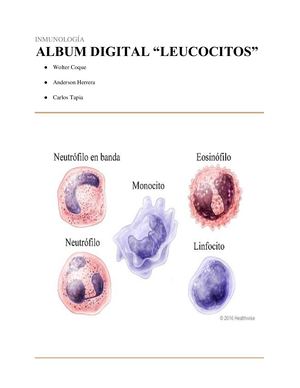 Album Digital Leucocitos