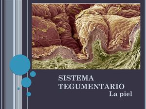 Eje 10 Sistema Tegumentario