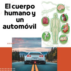 El Cuerpo Humano Y Un Automóvil
