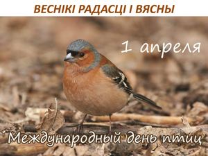Веснікі радасці і вясны