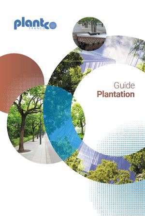 Catalogue Plantation