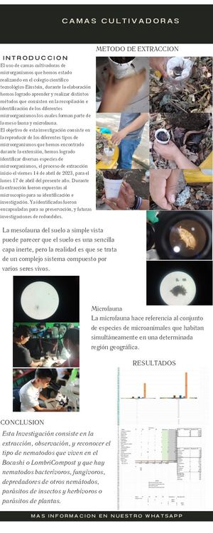 Infografía de Microfauna