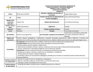 Planeación Pedagógica Maryen
