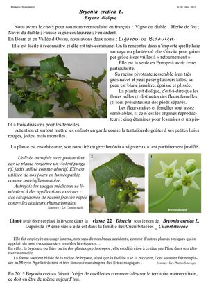 La Bryone dioïque FM