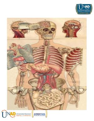 DESCRIPCIÓN ANATOMICA DEL CRANEO Y CARA