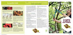 Je maîtrise la taille de mes fruitiers LaMaison.fr