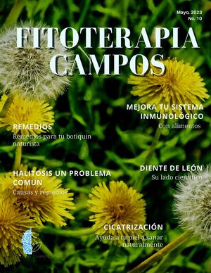 Revista Fitoterapia Edición 10 2023 Comprimido