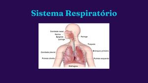 Portifólio Parte 2 (2) ligia chan