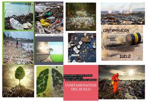 CONTAMINACION DEL SUELO por basuras