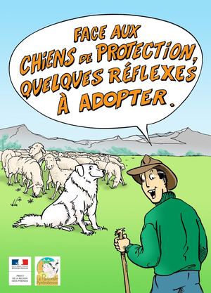 Bande Dessinee© Pastorale Pyrénéenne