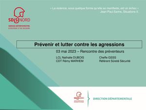 10 SDIS59 Protocole Violences SP