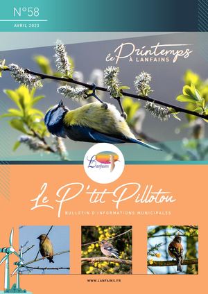 Le P'tit Pillotou Mairie Lanfains Pdf