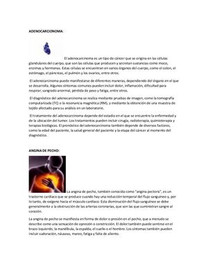 Diccionario Sebastian Londoño