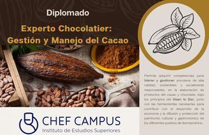 Programa Diplomado Del Cacao 2023