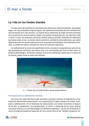Fondo Del Mar