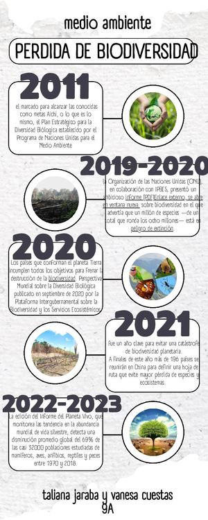 linea del tiempo taliana y vanesa