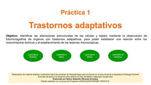 1 Octubre Práctica Trastornos Adaptativos
