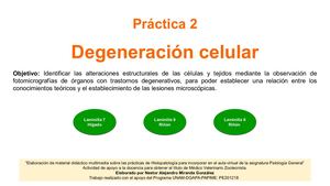 2 Octubre Práctica Degeneración Celular