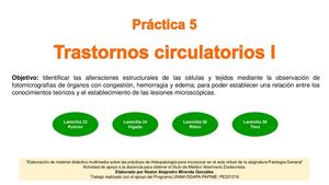 5 Práctica Trastornos Circulatorios I