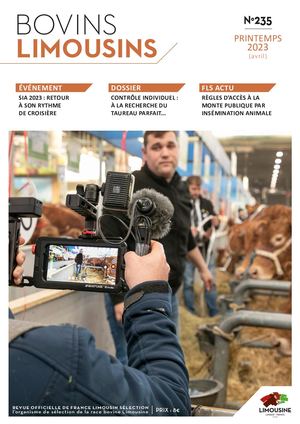 Bovins Limousins 235 / Extrait
