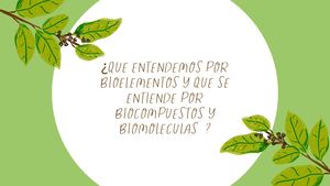 ¿Que Entendemos Por Bioelementos Y Que Se Entiende Por Biocompuestos Y Biomoleculas