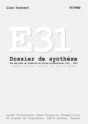 Rapport De Sythèse Lisa Dussaut Tcvpm2