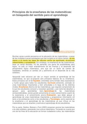 Principios De La Enseñanza De La Matemática