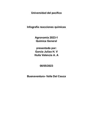 Infografia Reacciones Quimicas