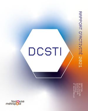 Rapport d'activité DCSTI 2021