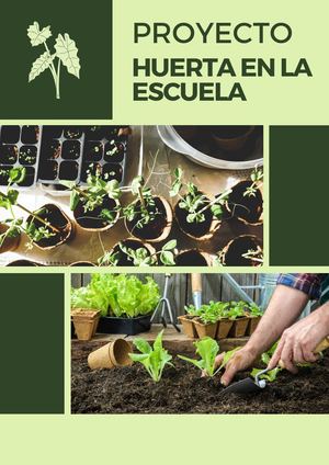 Huerta En La Escuela