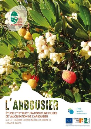 Rapport Final Arbousier