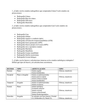 Anatomía Radiológica