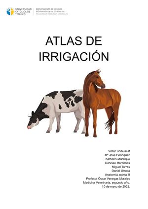 Atlas irrigación manos y patas ( bovino y equino)