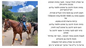 אריאל מצגת המלצה.