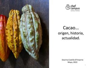 Cacao Origen, Historia, Actualidad Ocarina Castillo