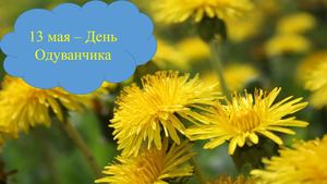 13 мая День одуванчиков